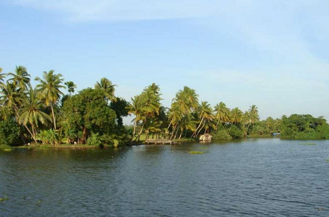 Best Time to Visit Alleppey