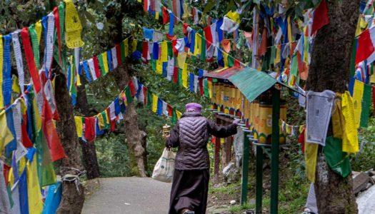 20 Enchanting Places to Visit in Mcleodganj for a Paradisiacal Experience