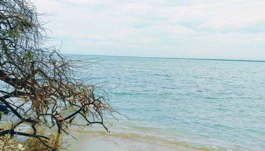 Legends and Landmarks: A Fascinating Journey Through Gulf of Mannar’s Marvels