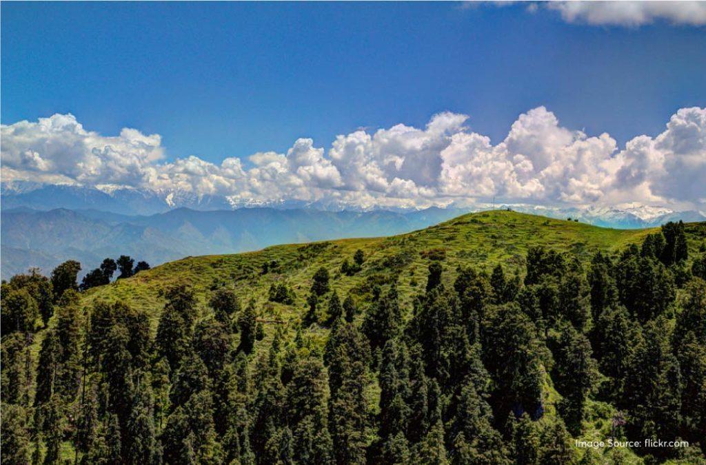 Daikund Peak is one of the most bewitching places to visit in Dalhousie