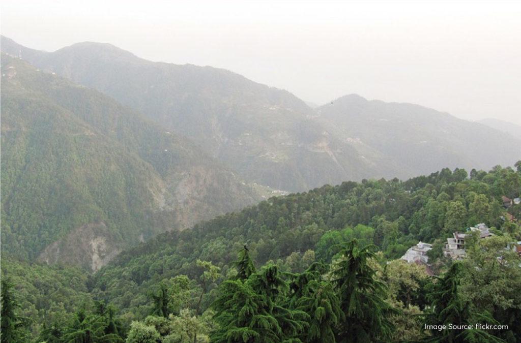 Garam Sadak is one of the best places to visit in Dalhousie if you want to go on an uninterrupted walk on a road that has limited vehicle movement.