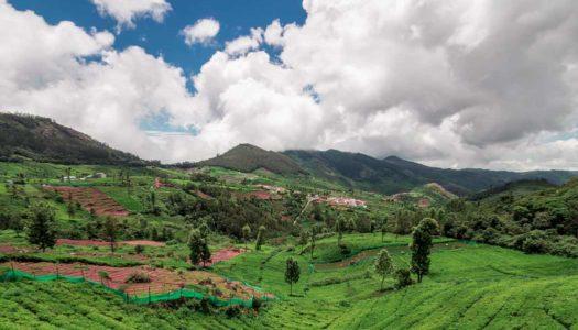 Beyond Tea Estates: 14 Best Places to Visit in Coonoor