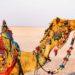Best time to visit Rann of Kutch
