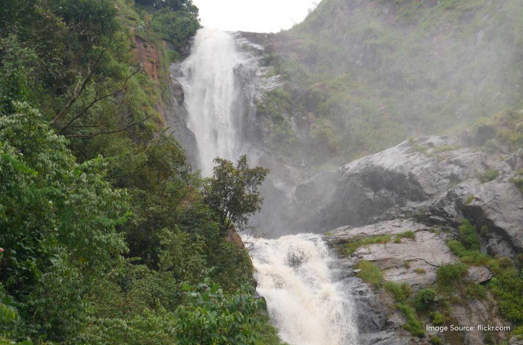 Katary Falls is the third largest waterfall in the Nilgiri mountain range and emerges from between the cluster of mountains.