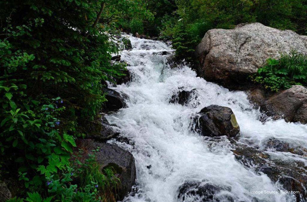 You cannot talk about Coimbatore without mentioning Vaidehi Falls at least once in the conversation