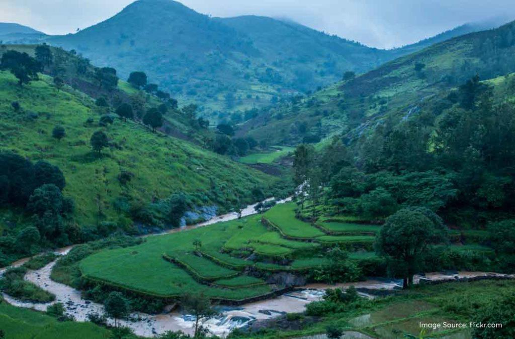 Araku Valley is one of the most famous hill stations in Andhra Pradesh. Seeing how it is only 115 km from Vishakapatnam