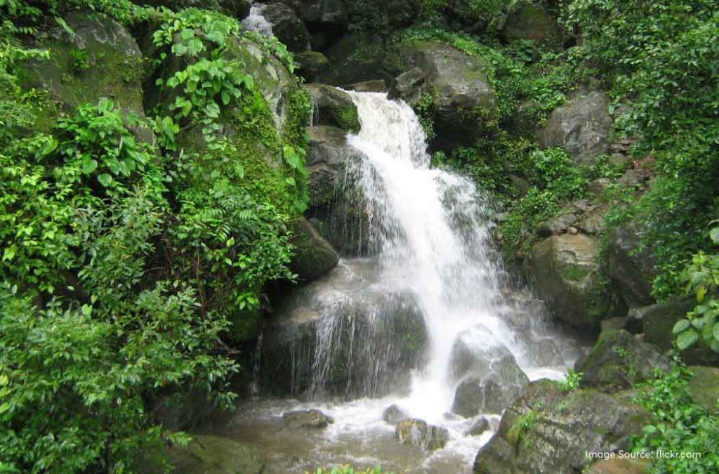 The Freaky waterfalls in Nainital are present amidst the lush green forests and come down from an impressive height of 4500 feet above sea level. 