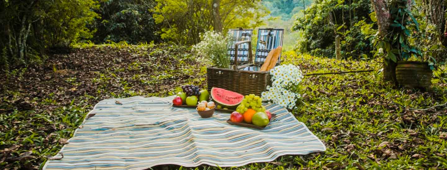 Picnic Spot Near Pune