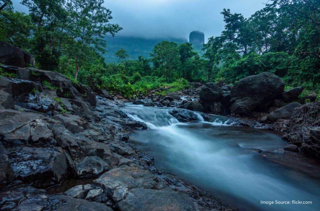 For those who love the monsoon season, Malshej Ghat will prove to be the right picnic spot near Pune. 