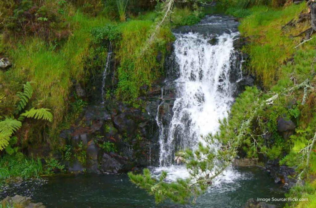 Nature lovers will definitely enjoy visiting the Woodland waterfalls in Nainital. 