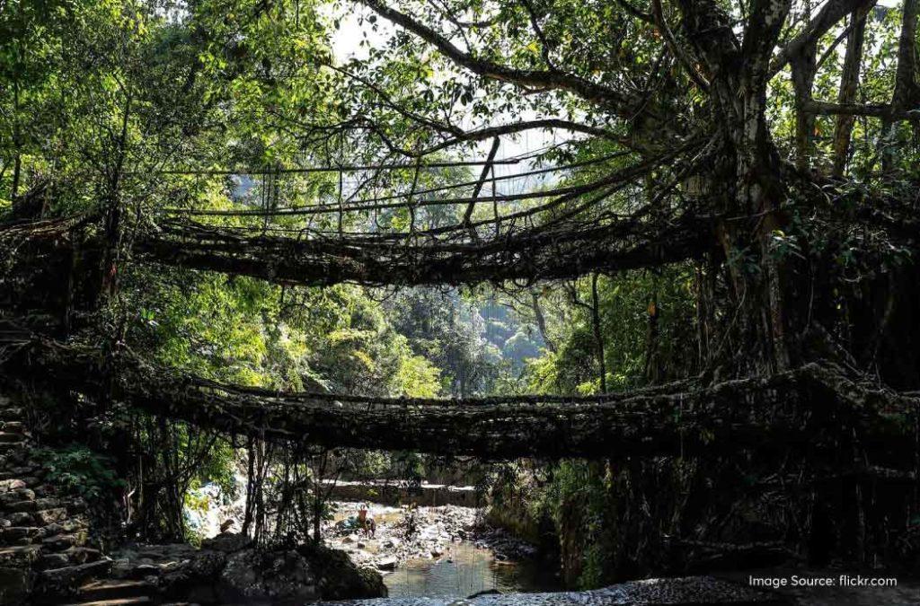 Trekking enthusiasts will definitely enjoy their trip to the double-decker living root bridge. 