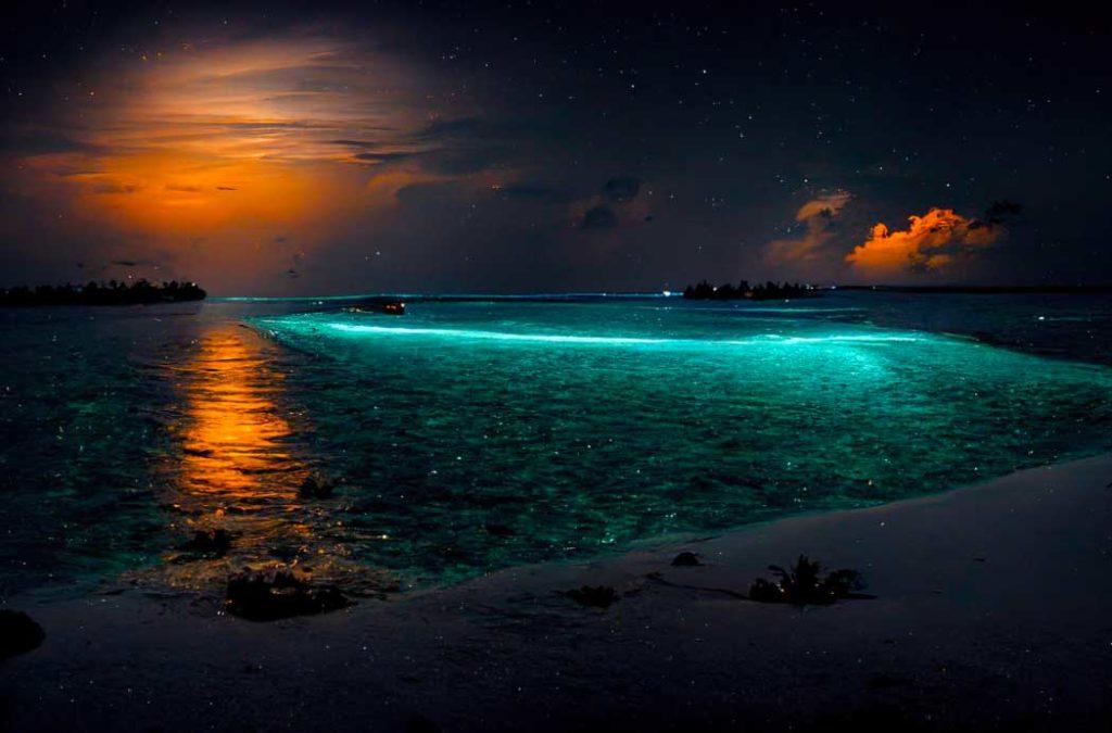 Havelock Beach lets you experience the thrill and excitement of bioluminescent kayaking!