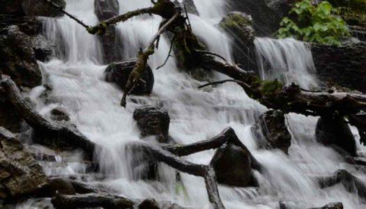 Cascading Beauties: 6 Mesmerizing Waterfalls in Mussoorie for a Refreshing Time