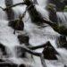Waterfalls in Mussoorie