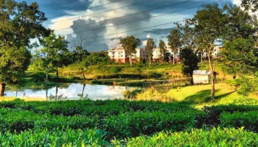 Journeying through the 11 Best Silchar Tourist Places