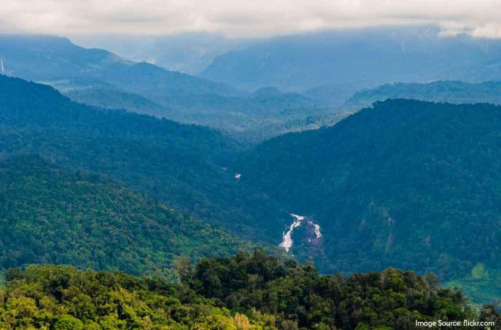 Check out one of the best places to visit in Valparai