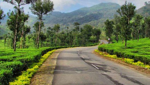 13 Places to Visit in Valparai to Immerse in the Land of Greens