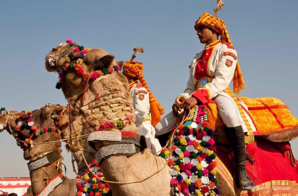 Attend the magnificent Bikaner Camel Festival in 2024