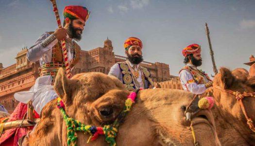 Bikaner Camel Festival 2024: Tales of Camels, Colours and Competitions