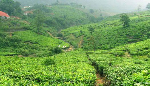 12 Encapsulating Places to See in Vagamon: Valleys, Views and More