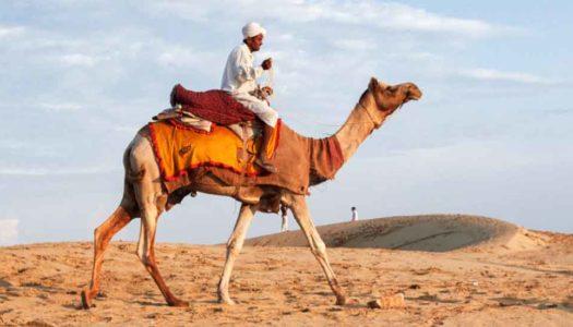 Desert Safari Destinations in India: Bactrian Camels, Yaks to Roaring Jeeps