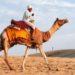 Experience the best desert safari in India