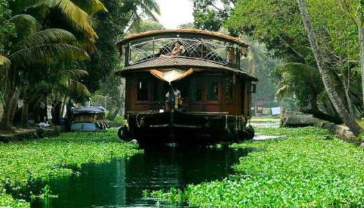 11 Best Places to Visit in Kerala in December for a Captivating Travel Experience