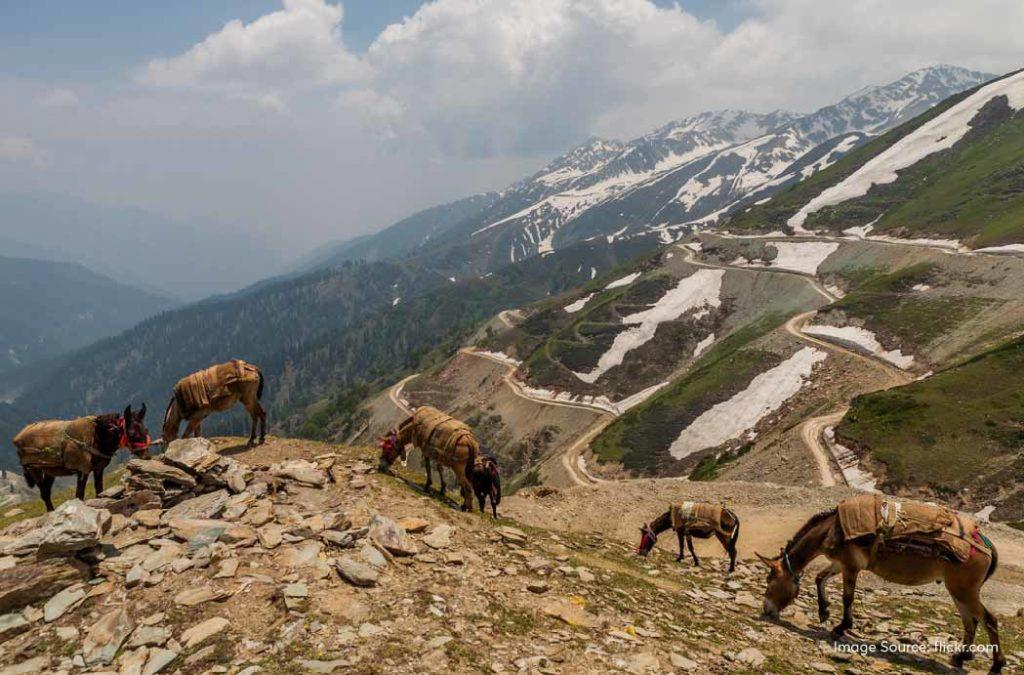 Explore one of the best hill stations in Jammu and Kashmir