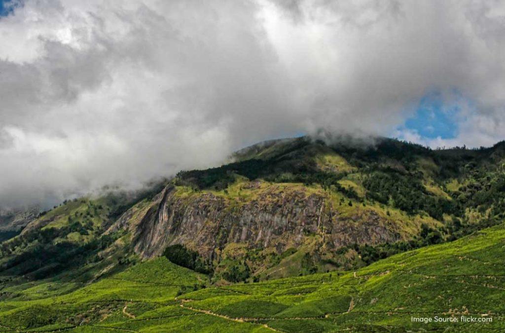 Munnar is the most sought-after tourist destination in the country 