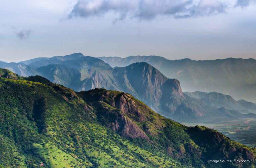 Check out one of the best attractions in Idukki for an exciting getaway