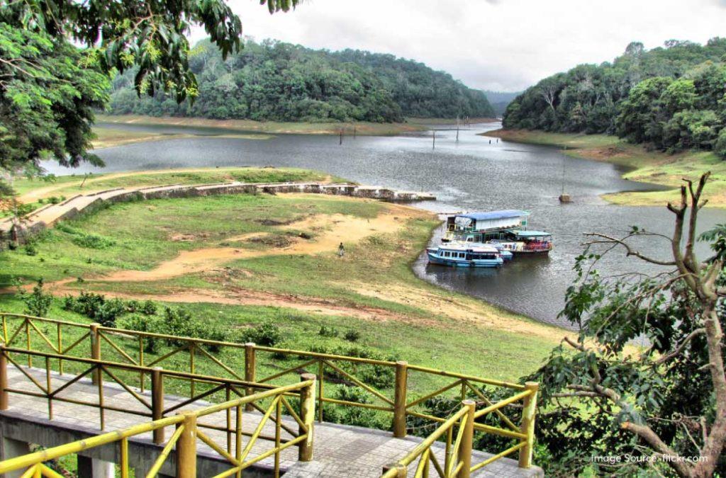 Thekkady is undoubtedly one of the most mesmerising locations in the state of Kerala.