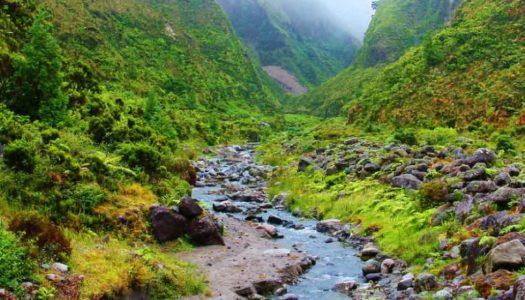 Valleys in India: Witness the Tapestry of Culture Wrapped in Natural Wonders