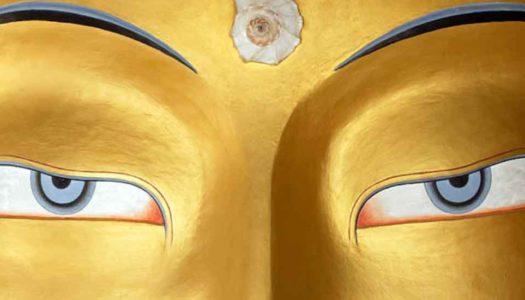 Silent Echoes in Serenity: 7 Sacred Monasteries in Dharamshala