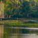 Backwaters of Kerala: Palms, Panoramas and Picturesque Backdrops 
