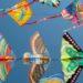 kite festival in gujarat