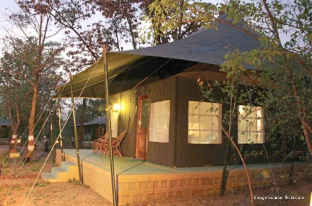Pench National Park offers way more than normal jungle camps. Here, you can get the experience of staying in tribal camps and interacting with the indigenous tribal people!