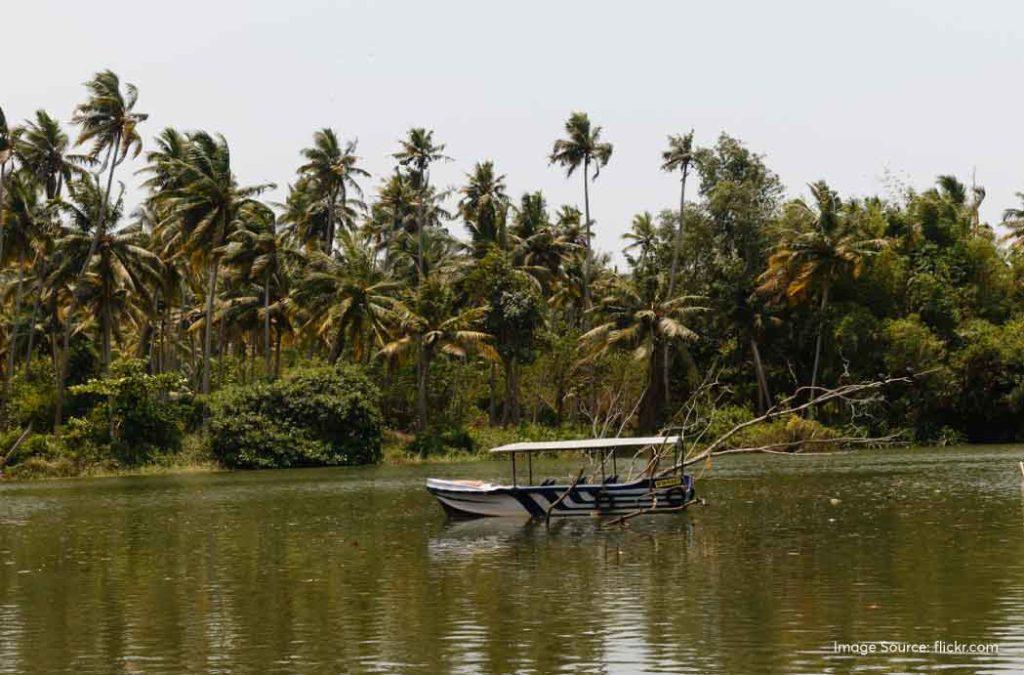 Backwaters of Kerala invite you for an enthralling journey