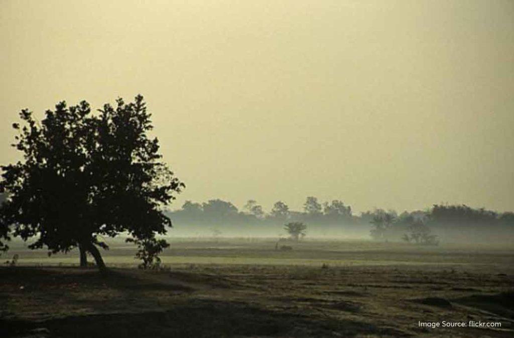 Majuli Island has soothing weather all year round
