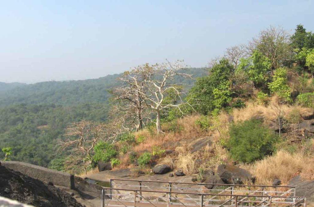A Glimpse of Kanheri Caves