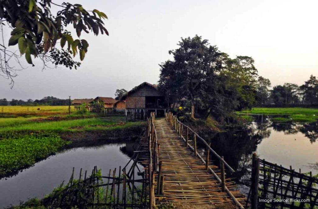Majuli Island is the cultural centre of Assam where the local art forms remain alive and thriving in the Satras