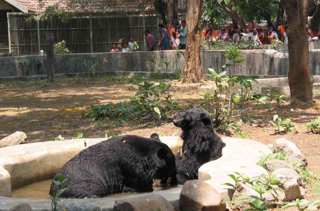 Check out wild animals at the Byculla Zoo