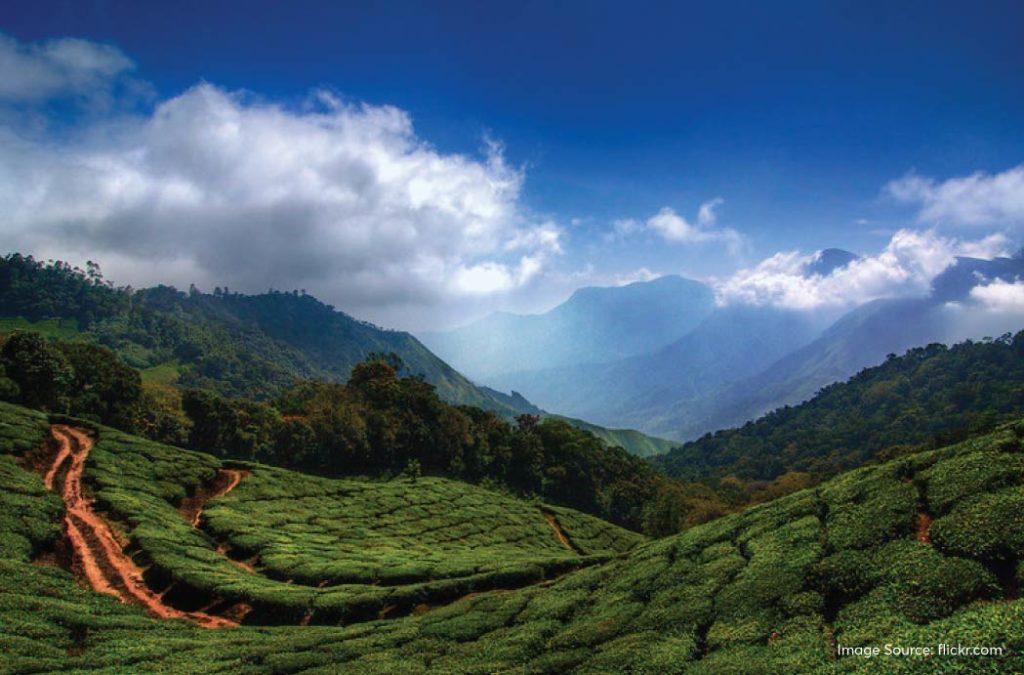 Top Station deserves a spot on your list of Munnar tourist places to visit on your next trip.