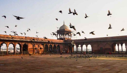 Jama Masjid: Discover the Soul of Old Delhi and its Legacy
