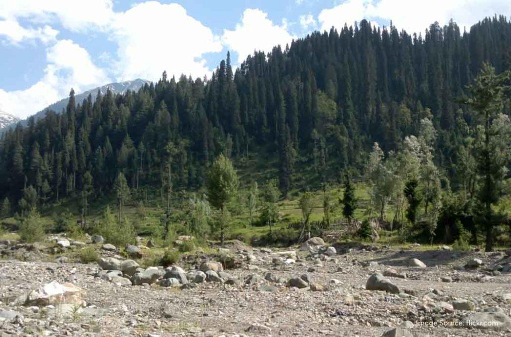 Check out the best Kashmir tourist places for a great time