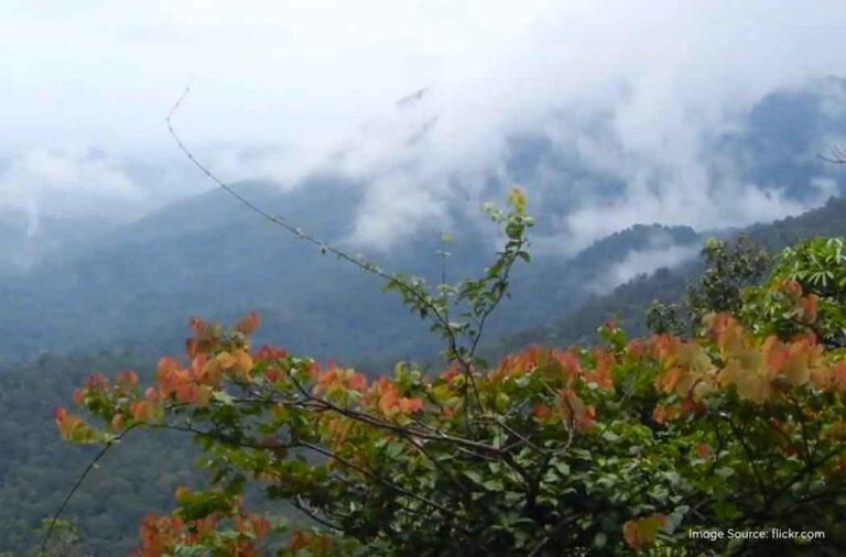 Agumbe Village: The Rainiest South Indian Gem That Inspired The Malgudi ...