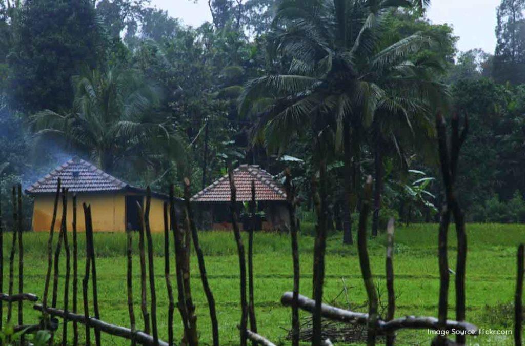 Travellers can visit Agumbe village all year round!