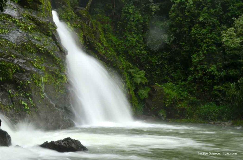 Jogigundi Falls is named after a sage who used to come here to meditate near the caves in the dense forests. 
