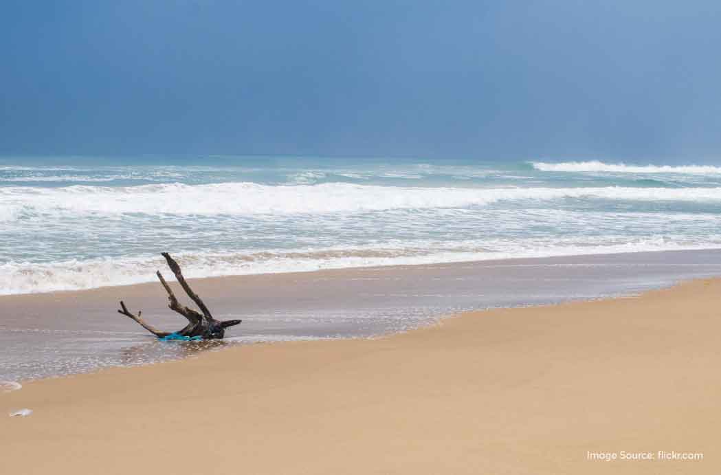 6 Places to Visit in Konark: Treasures of Odisha's Coastal Town