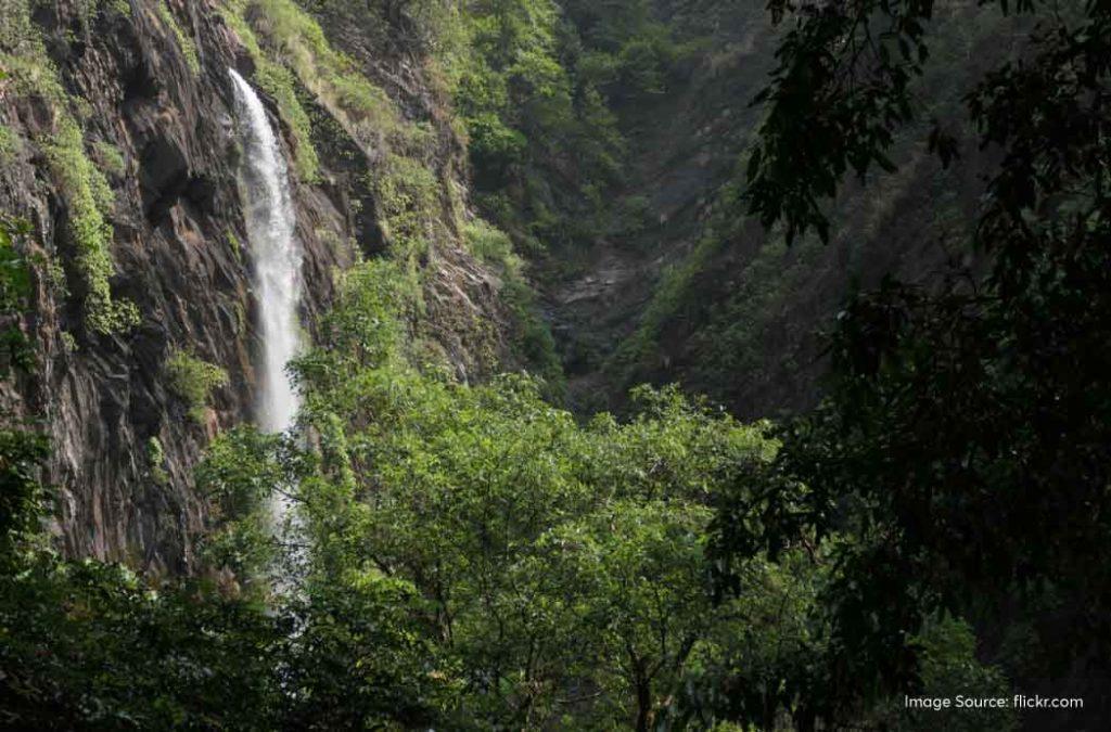 The Koodlutheertha Falls are located about 20 kilometres away from Agumbe village.