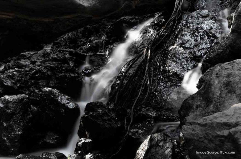 Amruthadhara waterfall is a two-tier spectacle that captivates tourists with its natural charm. 